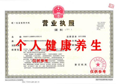 出讓海南省個人健康養生有限公司咨詢策劃服務